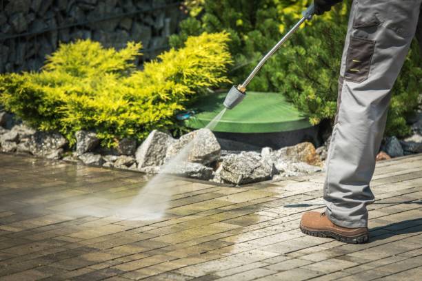 Best Sidewalk and Walkway Cleaning  in Lyons, NJ
