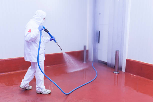 Best Playground Equipment Cleaning  in Lyons, NJ