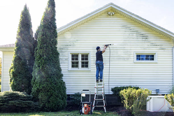 Best Solar Panel Cleaning  in Lyons, NJ